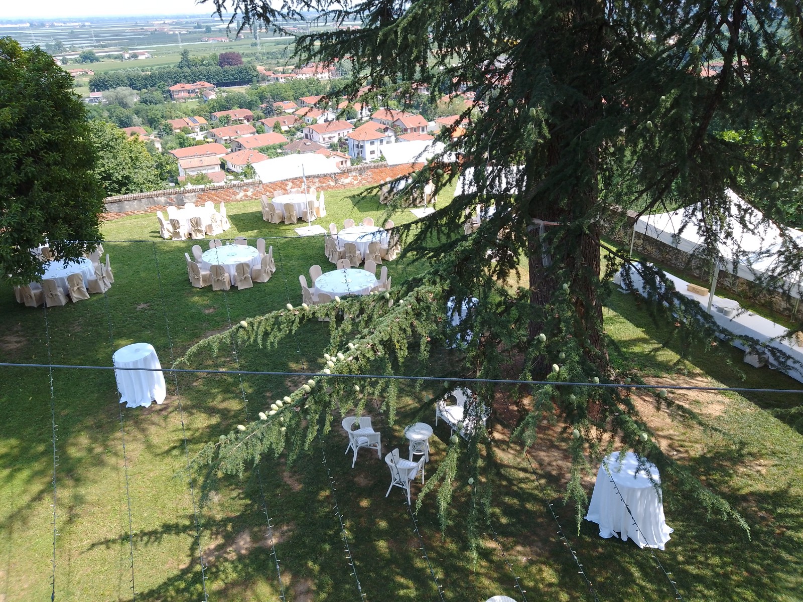 Parco e Cedro del Libano